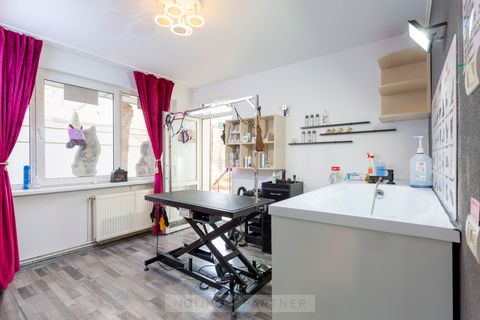 Fifi Salon