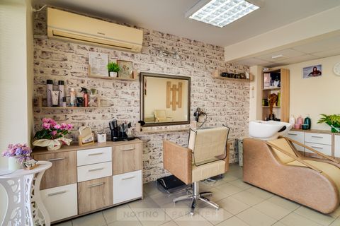 Teddy's Hair & Nails Studio