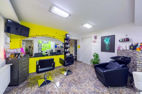 Salon 27 Camil Ressu