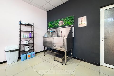 Crazy Dog Mom Grooming Salon
