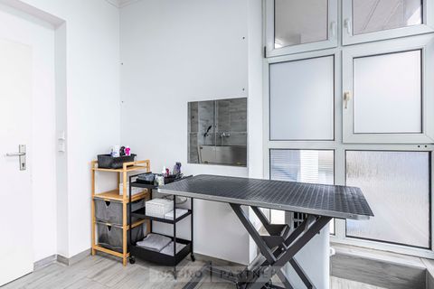 DOG Salon Lusy Praha