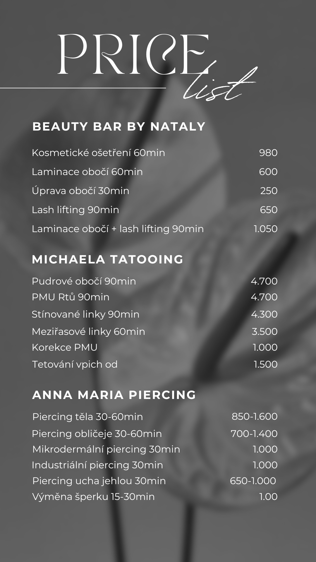 Minimalist Beauty Salon Price List.png