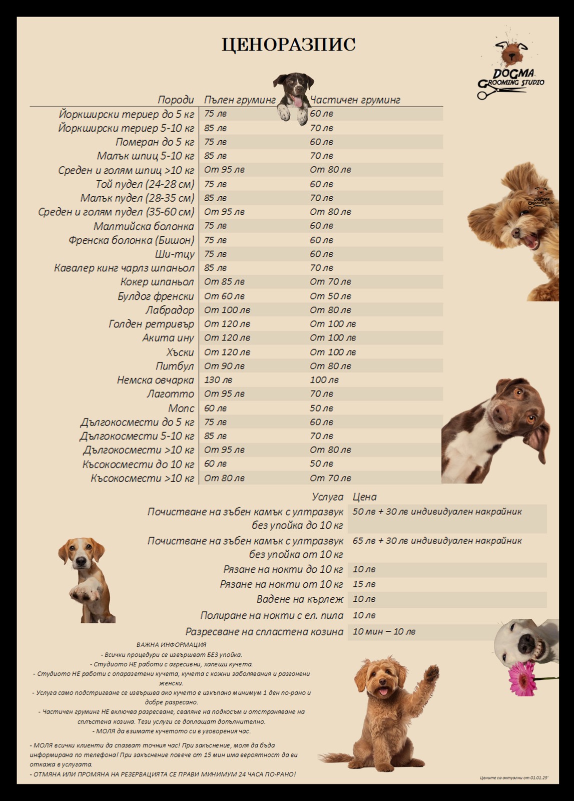 DoGma Grooming Studio Sofia | Notino Salóny