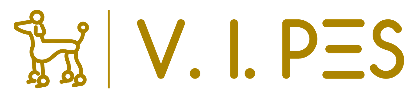 salon logo