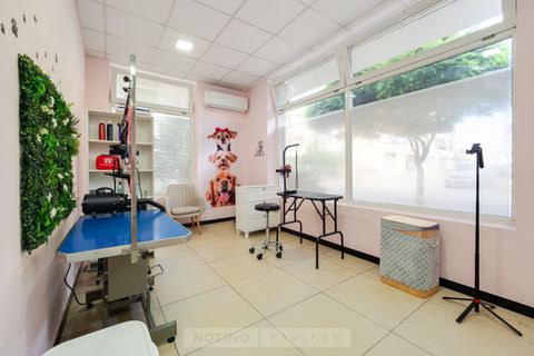 Crazy Dog Mom Grooming Salon