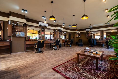 Papa's Barber