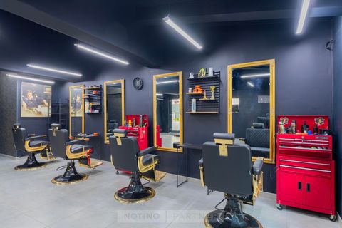 Alberto Bălan Concept