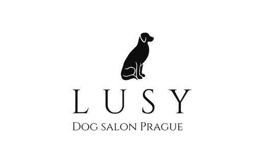 salon logo