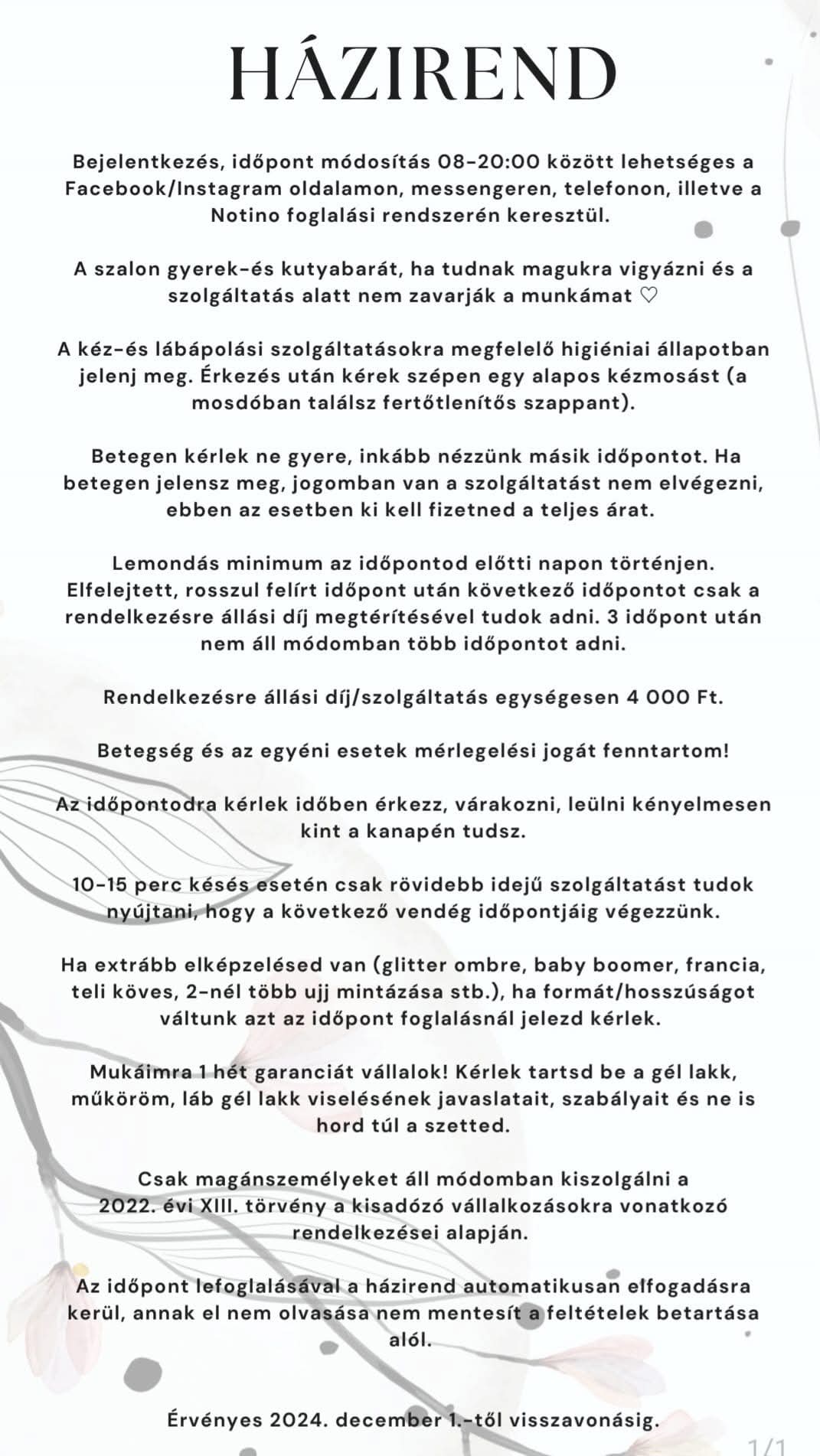 FB_IMG_1733035623562.jpg