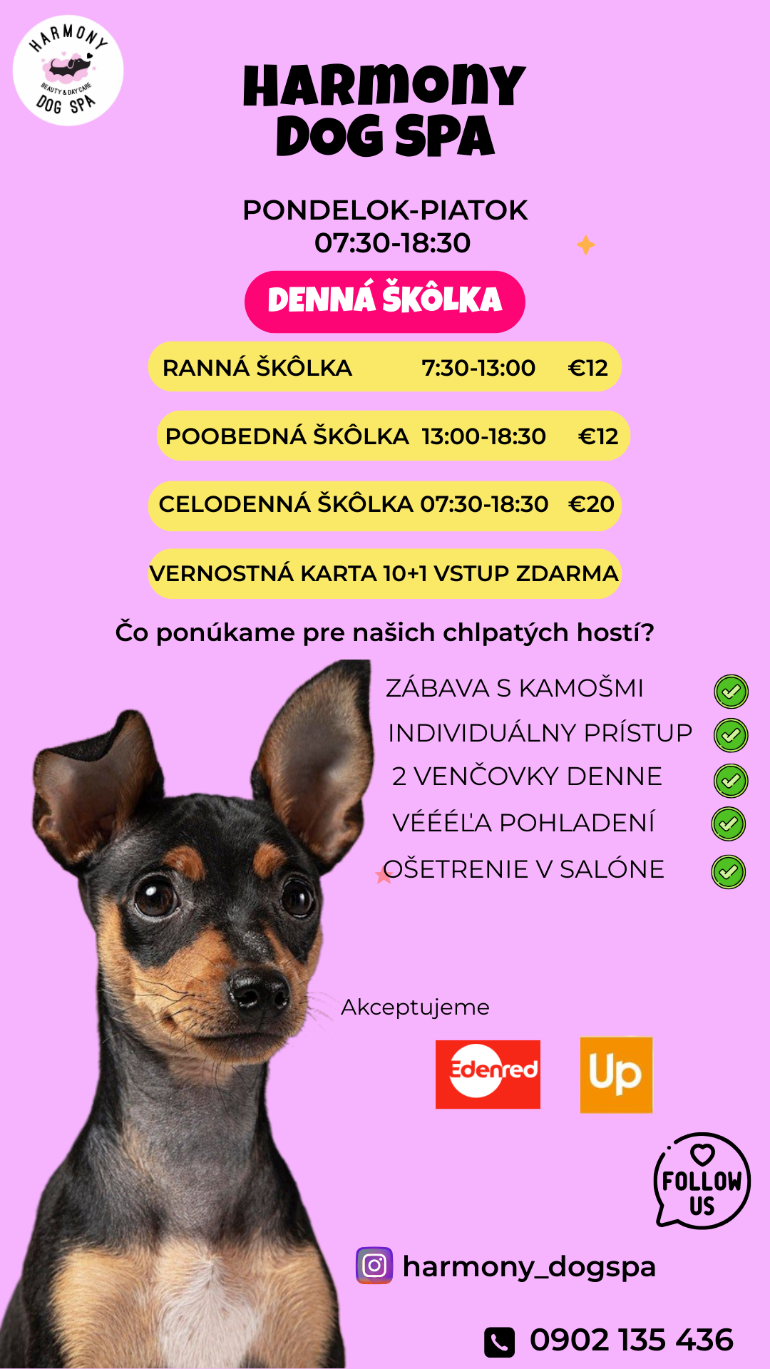 Skolka IG storia.png