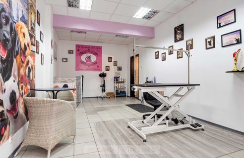 Pet Grooming studio 55