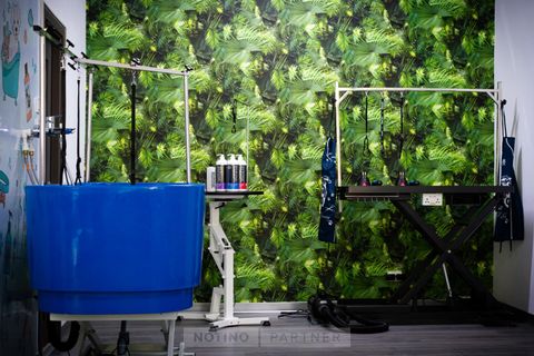 Chic Pet Salon & Boutique
