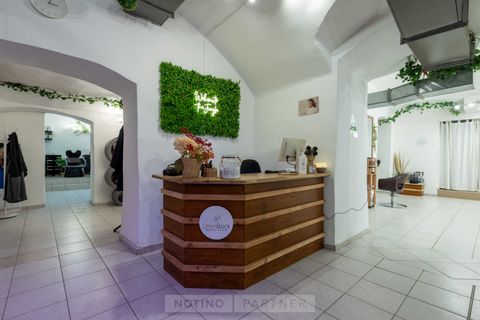 Lean Back Beauty Salon -Bar Ákos