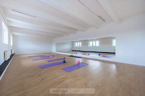 Pilates s Linkou