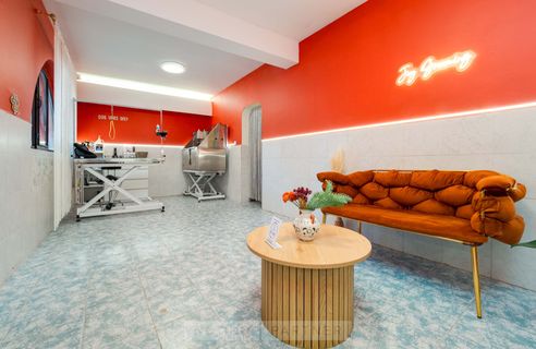 Joy Grooming Studio • Груминг салон Joy