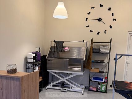 Bark & Spark Grooming Salon